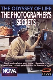 The Odyssey of Life – The Photographer’s Secrets