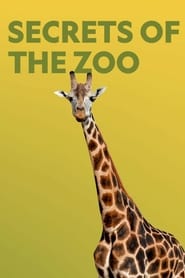 Secrets of the Zoo