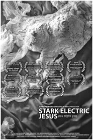 Stark Electric Jesus
