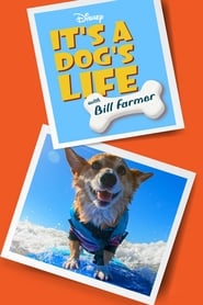 It’s a Dog’s Life with Bill Farmer
