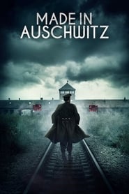 Made in Auschwitz: The Untold Story of Block 10